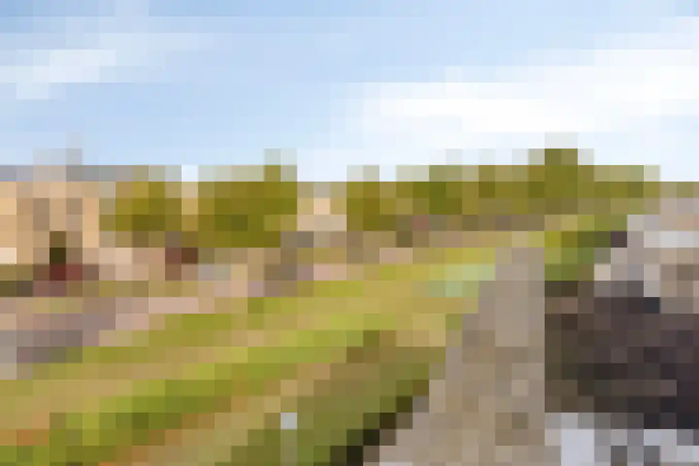 Reevelden 108 Best thumbnail 39