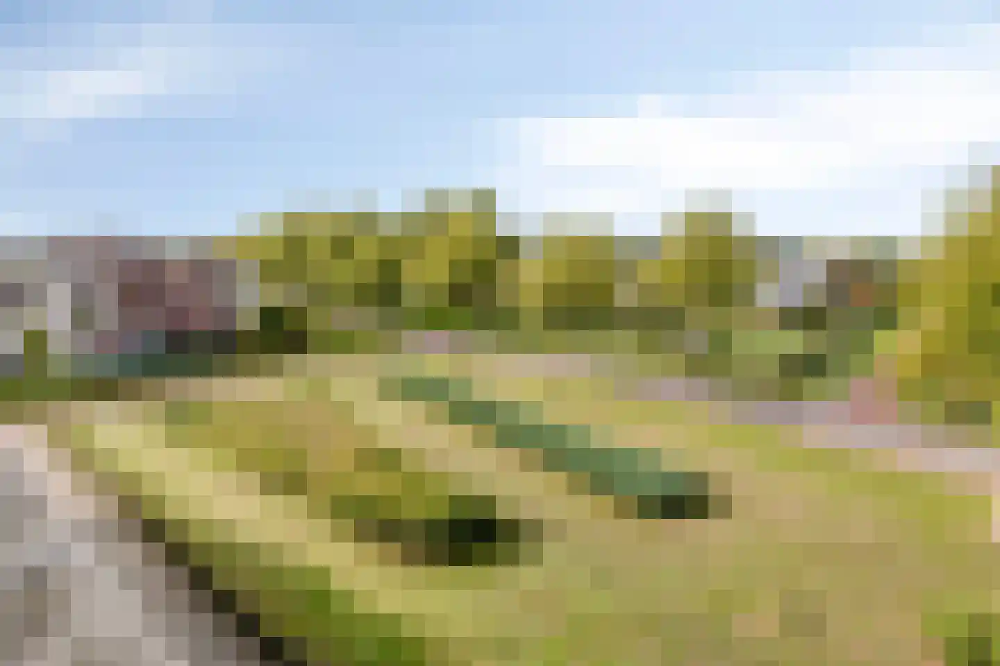 Reevelden 108 Best thumbnail 45