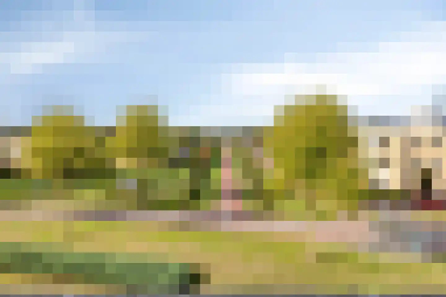Reevelden 108 Best thumbnail 6