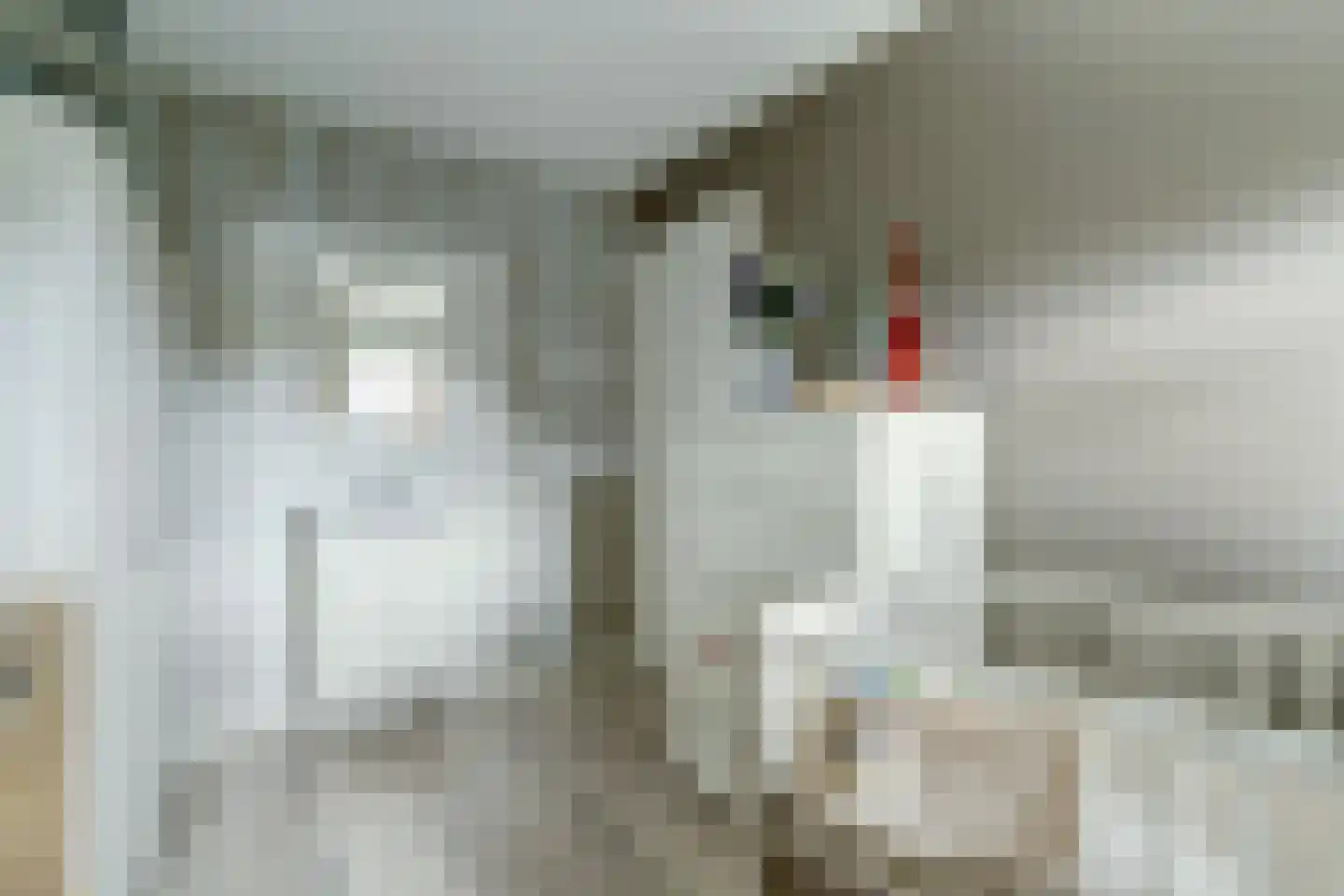 Reevelden 13 Best thumbnail 23