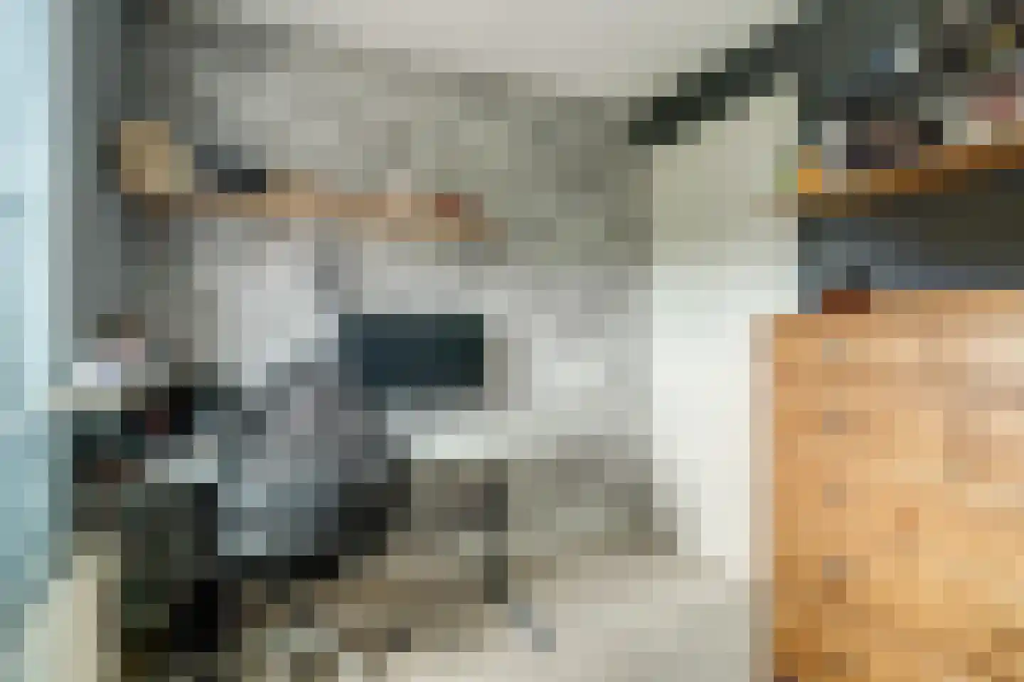 Reevelden 13 Best thumbnail 24