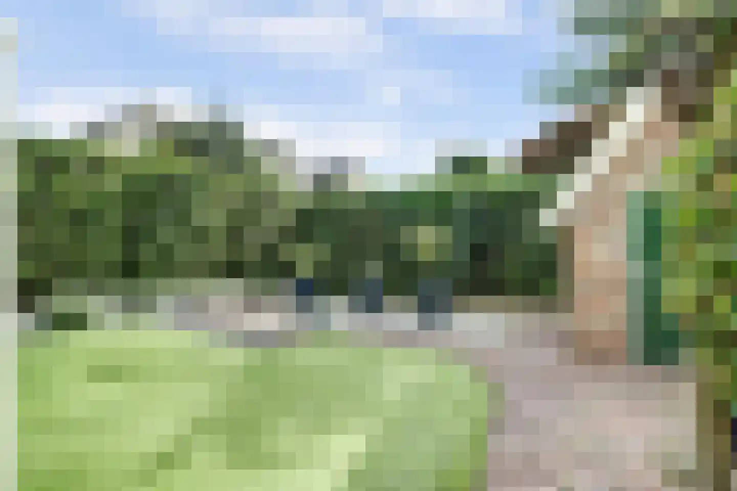 Reevelden 13 Best thumbnail 38
