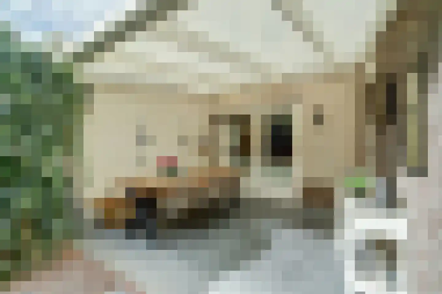 Reevelden 13 Best thumbnail 41