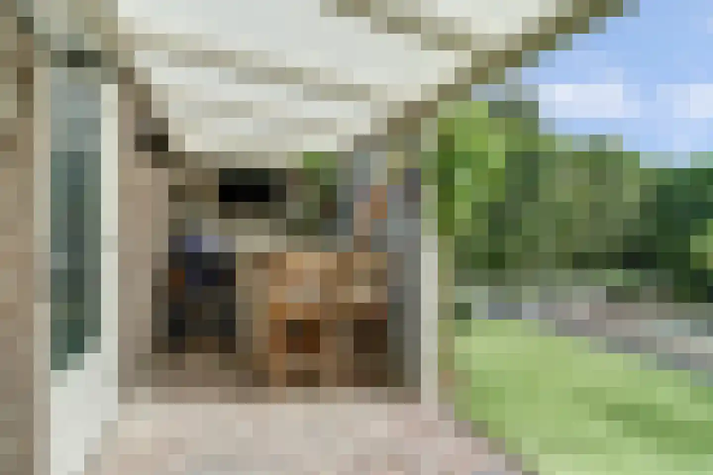 Reevelden 13 Best thumbnail 42