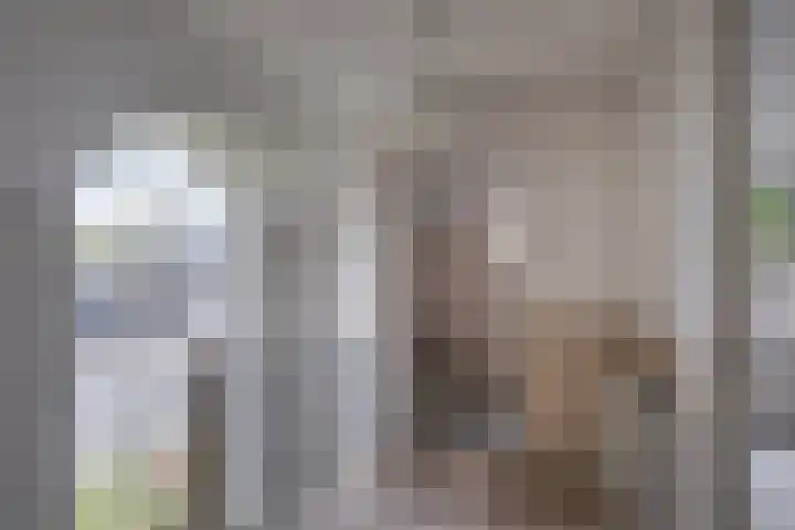 Reeverweg 13 Harfsen thumbnail 11
