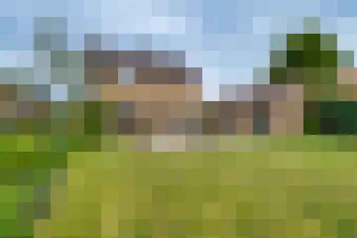 Reeverweg 13 Harfsen thumbnail 17