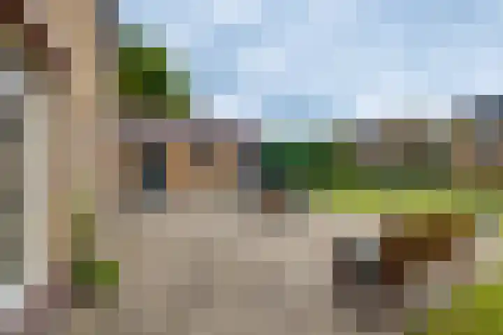 Reeverweg 13 Harfsen thumbnail 18