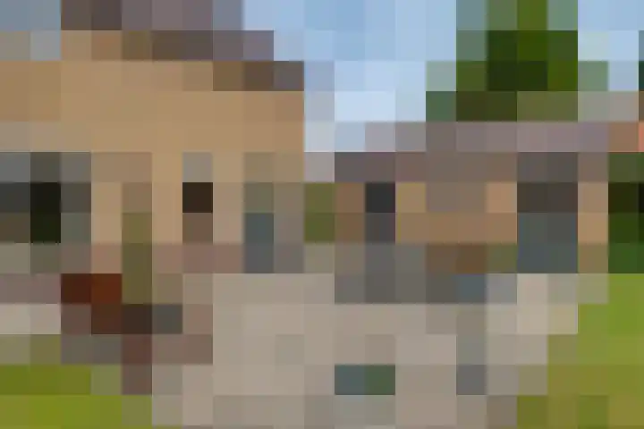 Reeverweg 13 Harfsen thumbnail 19