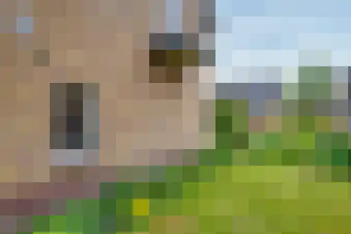 Reeverweg 13 Harfsen thumbnail 20