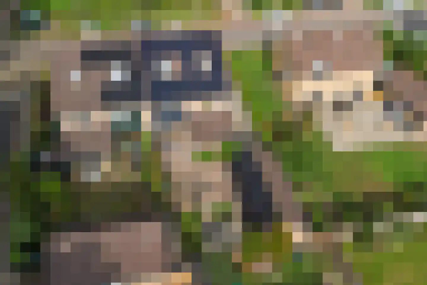 Reeverweg 15 Harfsen thumbnail 34