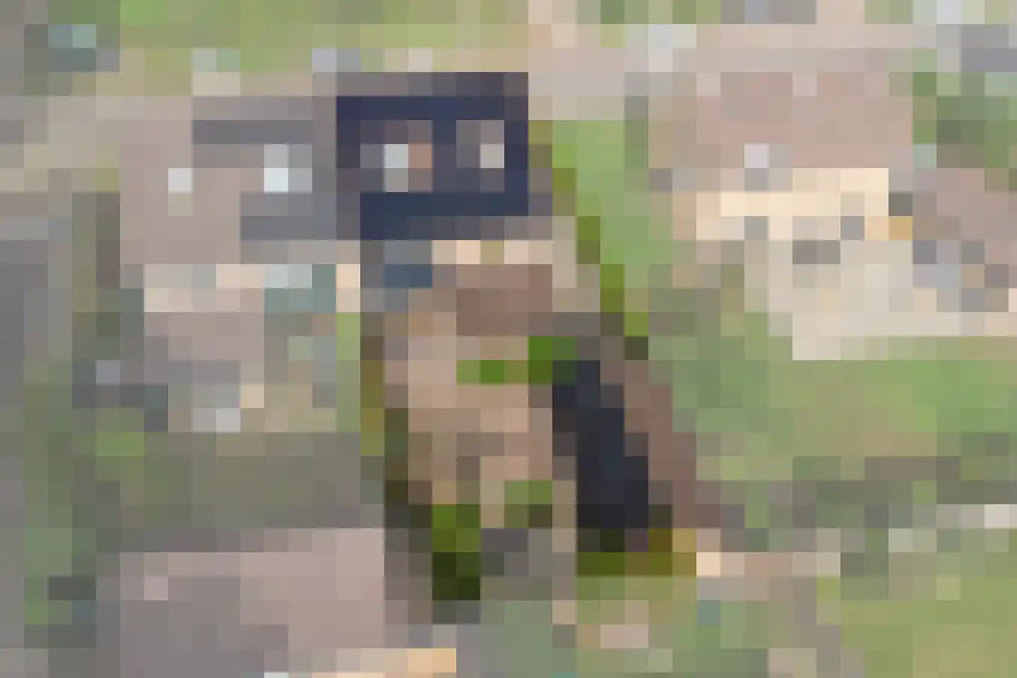 Reeverweg 15 Harfsen thumbnail 35