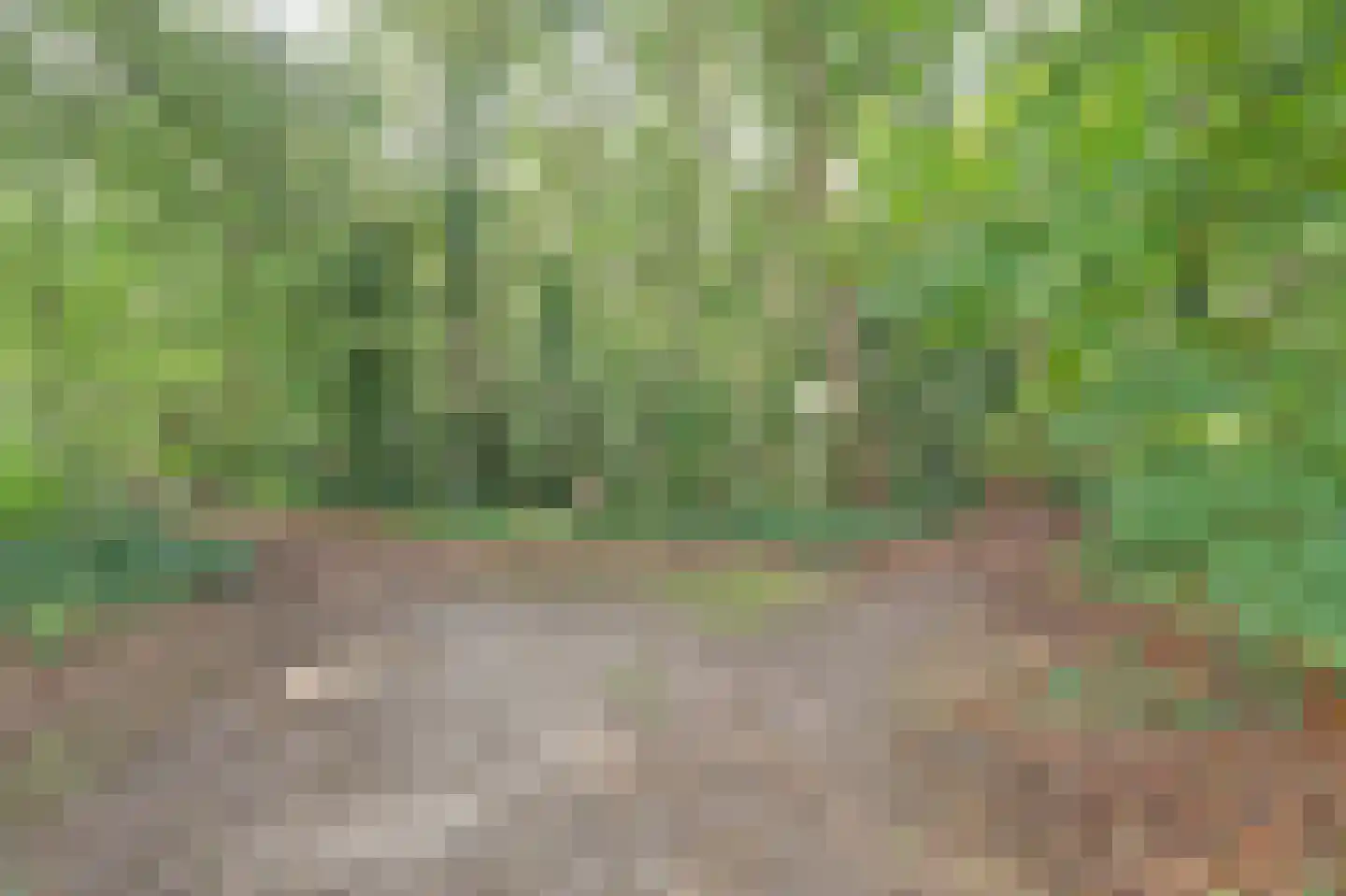 Reeverweg 15 Harfsen thumbnail 37