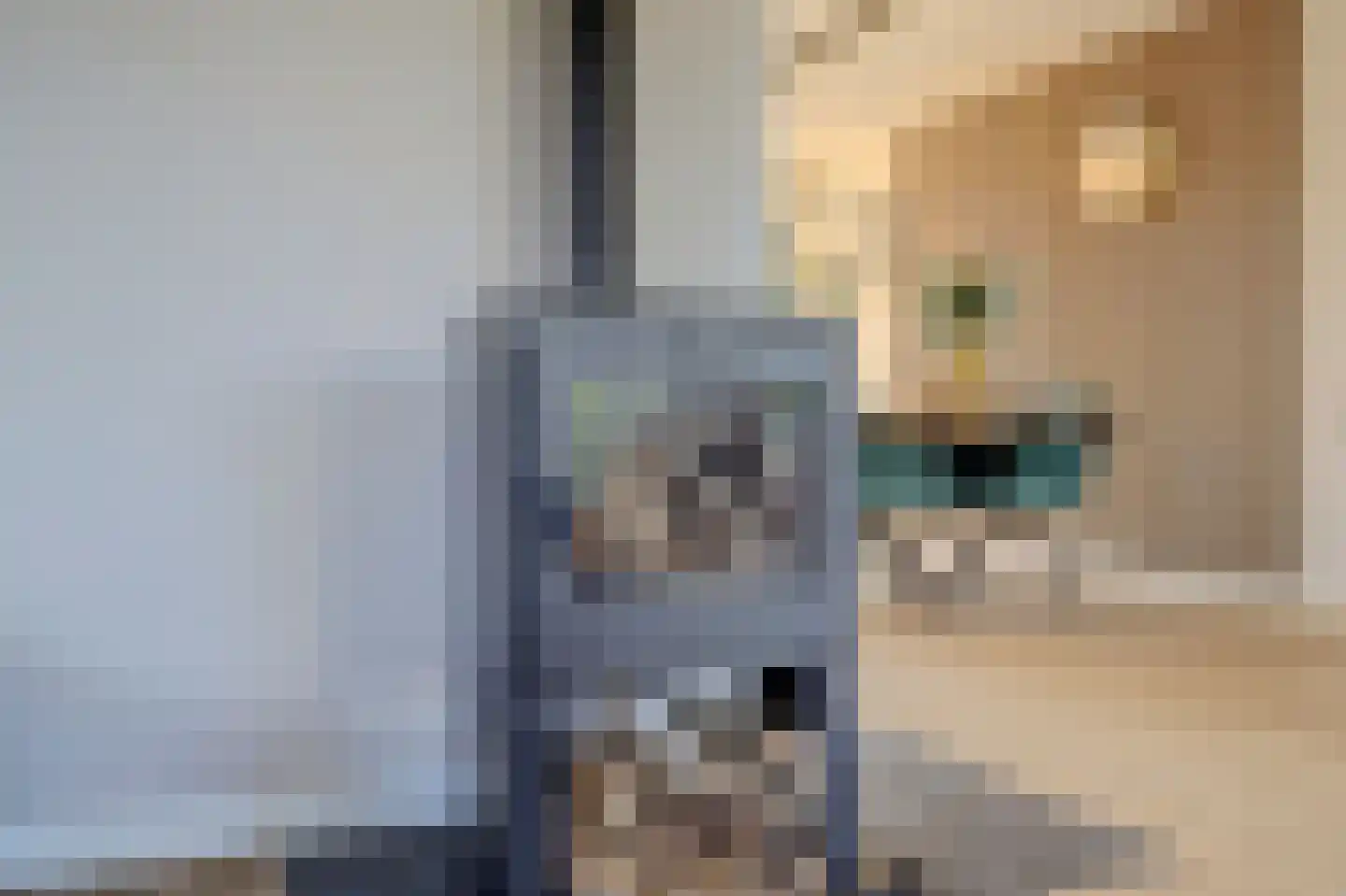 Reeverweg 15 Harfsen thumbnail 8