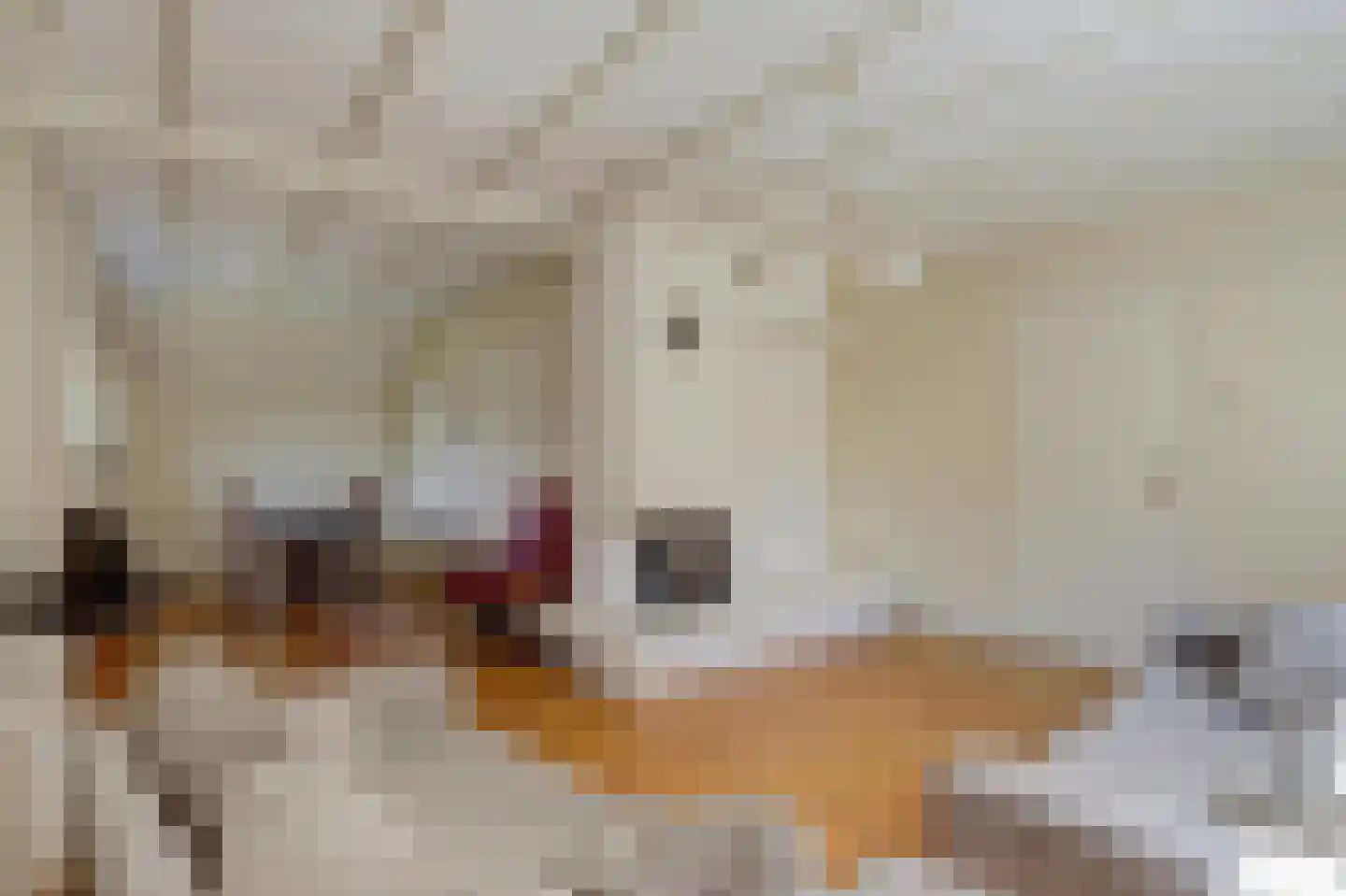 Reeverweg 7 Harfsen thumbnail 6