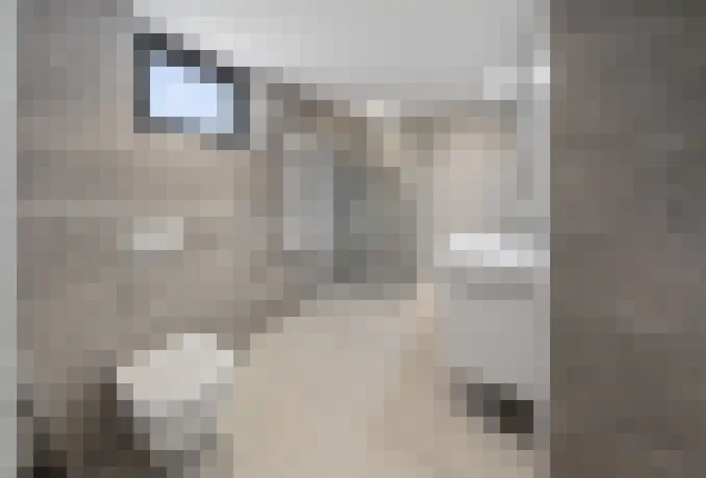 Reeveweg 814 Kampen thumbnail 15