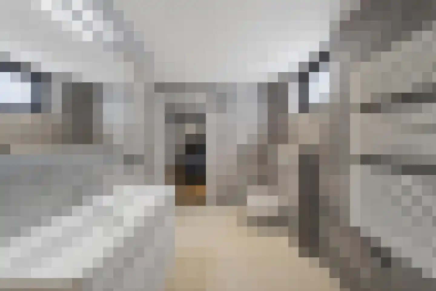 Reeveweg 814 Kampen thumbnail 16