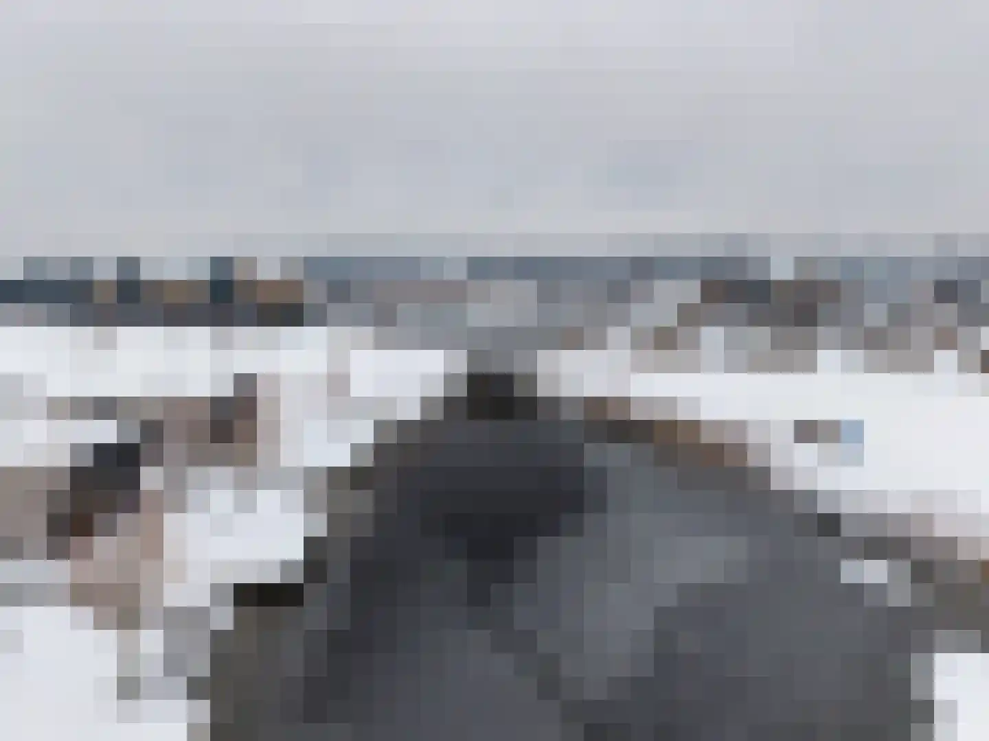Reeveweg 814 Kampen thumbnail 21