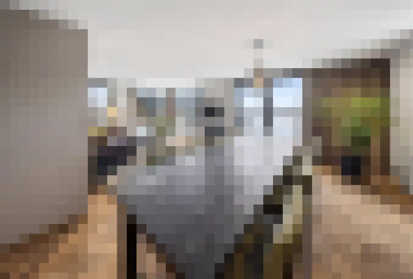 Reeveweg 814 Kampen thumbnail 6