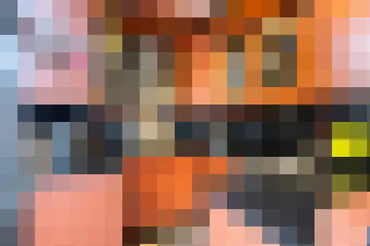 Reevliet 7 Oisterwijk thumbnail 10