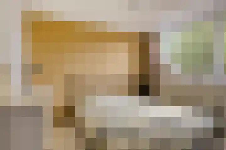 Reevliet 7 Oisterwijk thumbnail 15