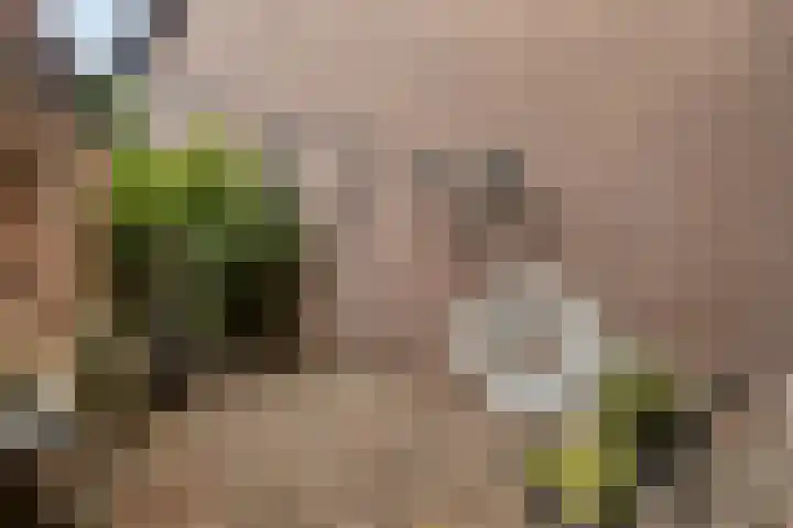 Reevliet 7 Oisterwijk thumbnail 24