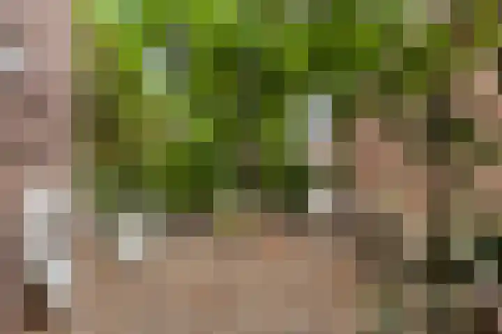 Reevliet 7 Oisterwijk thumbnail 25
