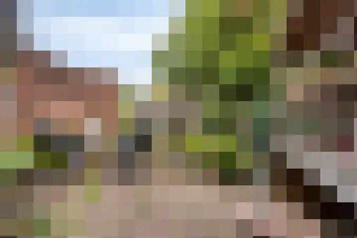 Reevliet 7 Oisterwijk thumbnail 26