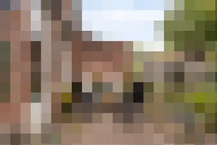Reevliet 7 Oisterwijk thumbnail 27