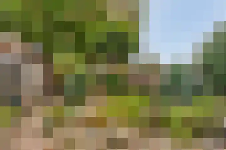 Reevliet 7 Oisterwijk thumbnail 28