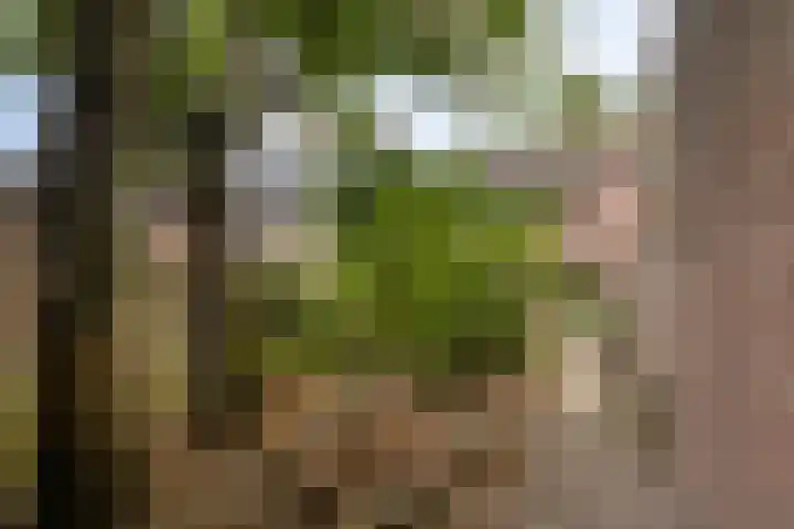 Reevliet 7 Oisterwijk thumbnail 30