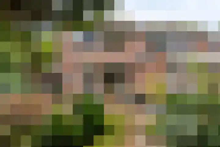Reevliet 7 Oisterwijk thumbnail 31