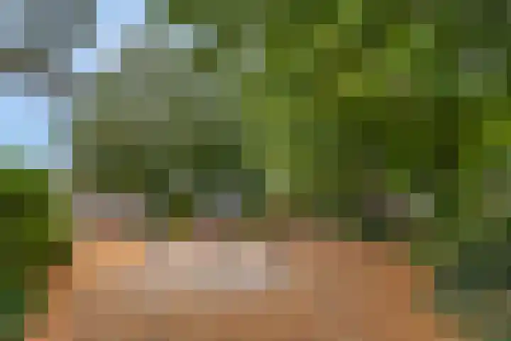Reevliet 7 Oisterwijk thumbnail 34