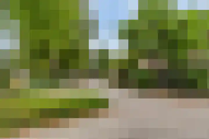 Reevliet 7 Oisterwijk thumbnail 35