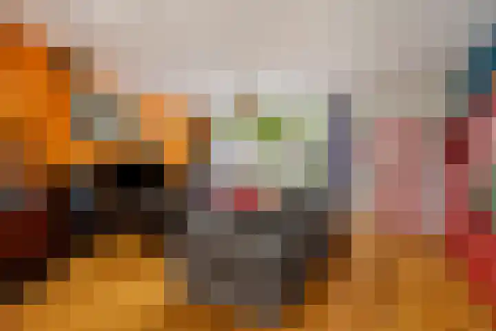 Reevliet 7 Oisterwijk thumbnail 5