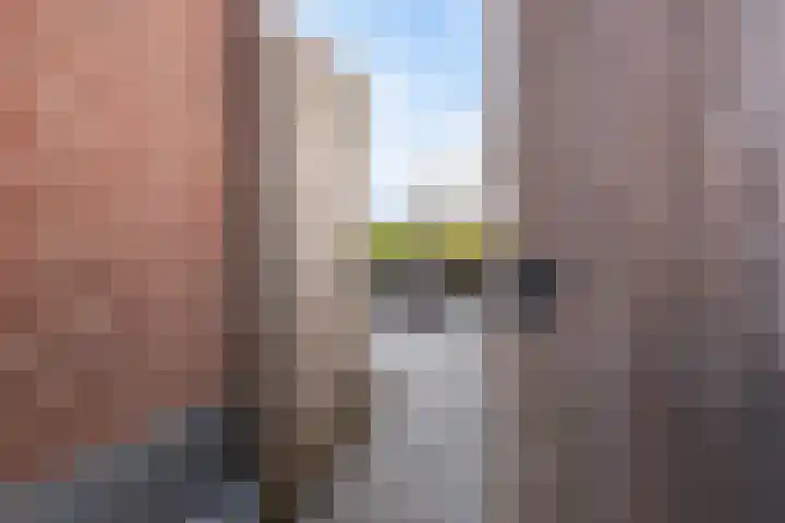 Reewal 27 Reeuwijk thumbnail 10