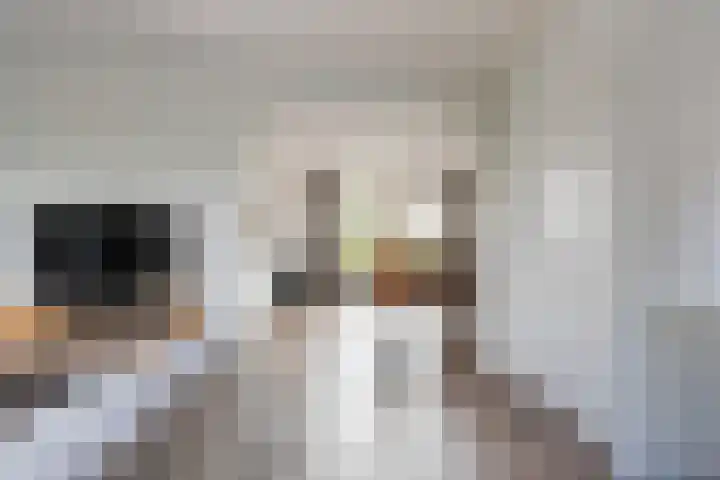 Reewal 27 Reeuwijk thumbnail 20