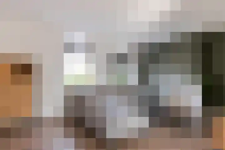 Reewal 27 Reeuwijk thumbnail 21