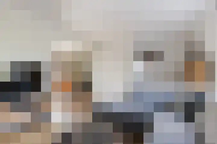 Reewal 27 Reeuwijk thumbnail 24