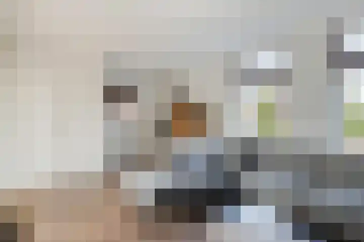Reewal 27 Reeuwijk thumbnail 25