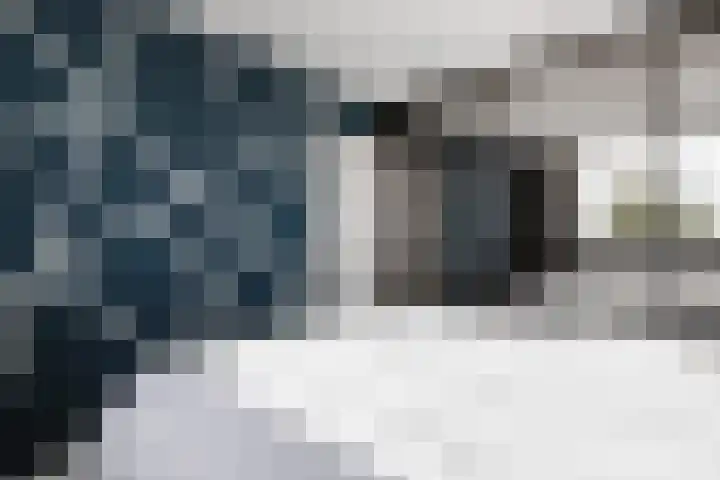 Reewal 27 Reeuwijk thumbnail 30