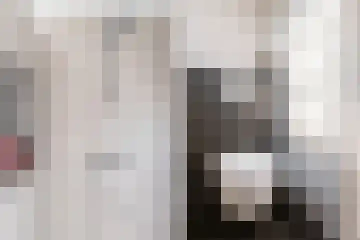 Reewal 27 Reeuwijk thumbnail 34
