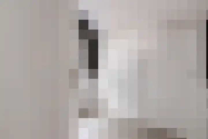 Reewal 27 Reeuwijk thumbnail 36