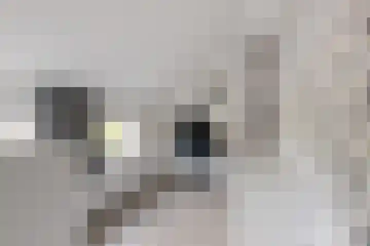 Reewal 27 Reeuwijk thumbnail 37
