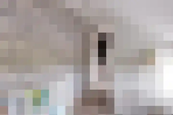 Reewal 27 Reeuwijk thumbnail 38