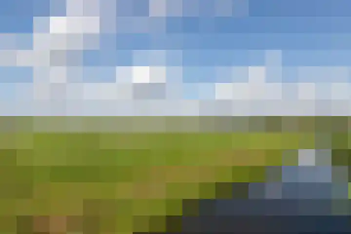 Reewal 27 Reeuwijk thumbnail 46