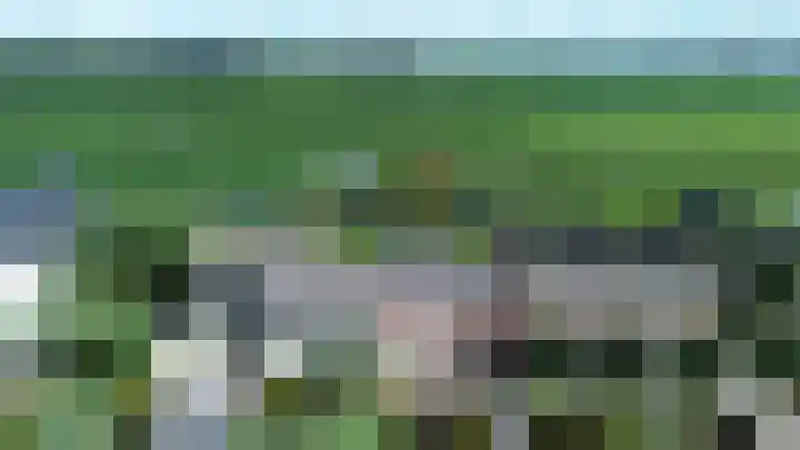 Reewal 27 Reeuwijk thumbnail 50