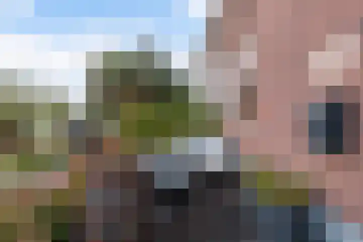 Reewal 27 Reeuwijk thumbnail 6