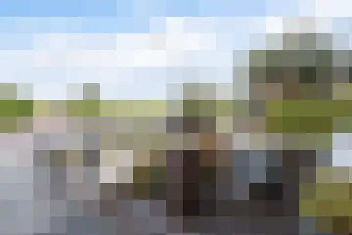 Reewal 27 Reeuwijk thumbnail 7