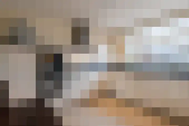 Reewal 9 Reeuwijk thumbnail 17
