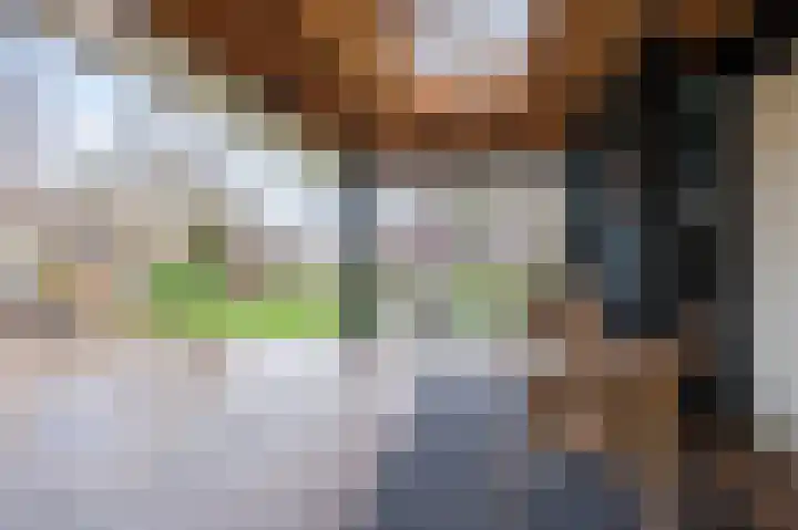 Reewal 9 Reeuwijk thumbnail 32